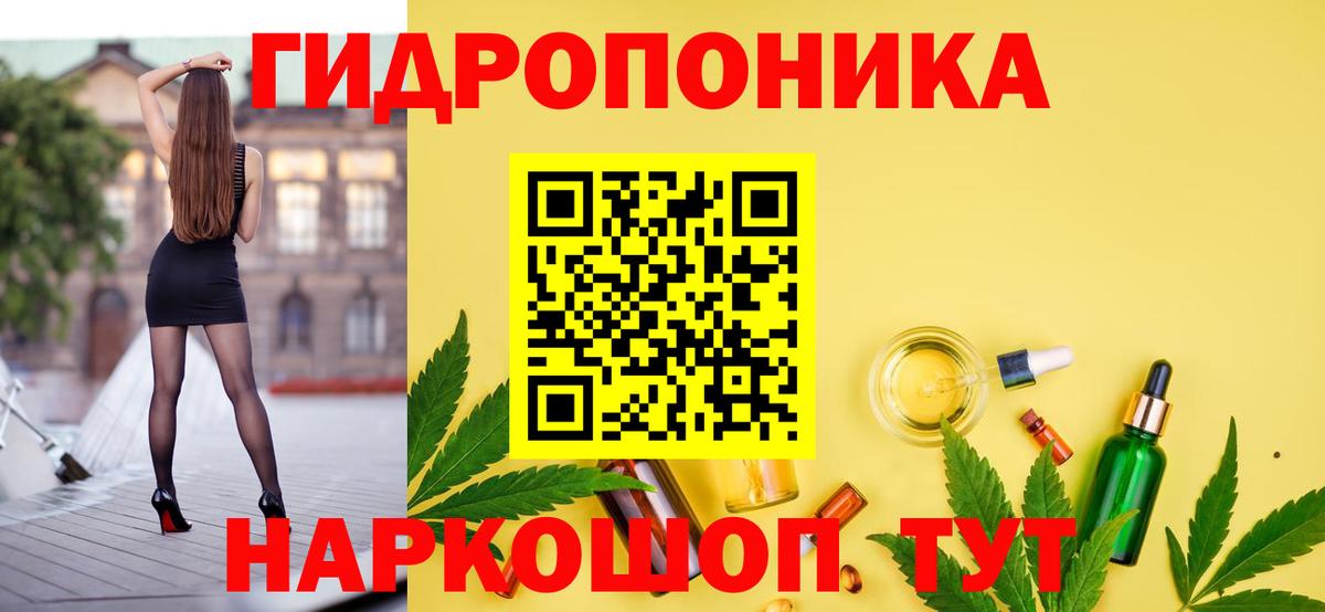 Конопля конопля Северодвинск